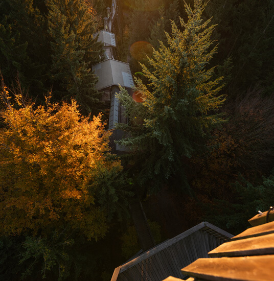 Der Baumkronenweg von oben in herbstlichen Abendlicht.
